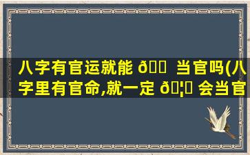 八字有官运就能 🐠 当官吗(八字里有官命,就一定 🦈 会当官吗)